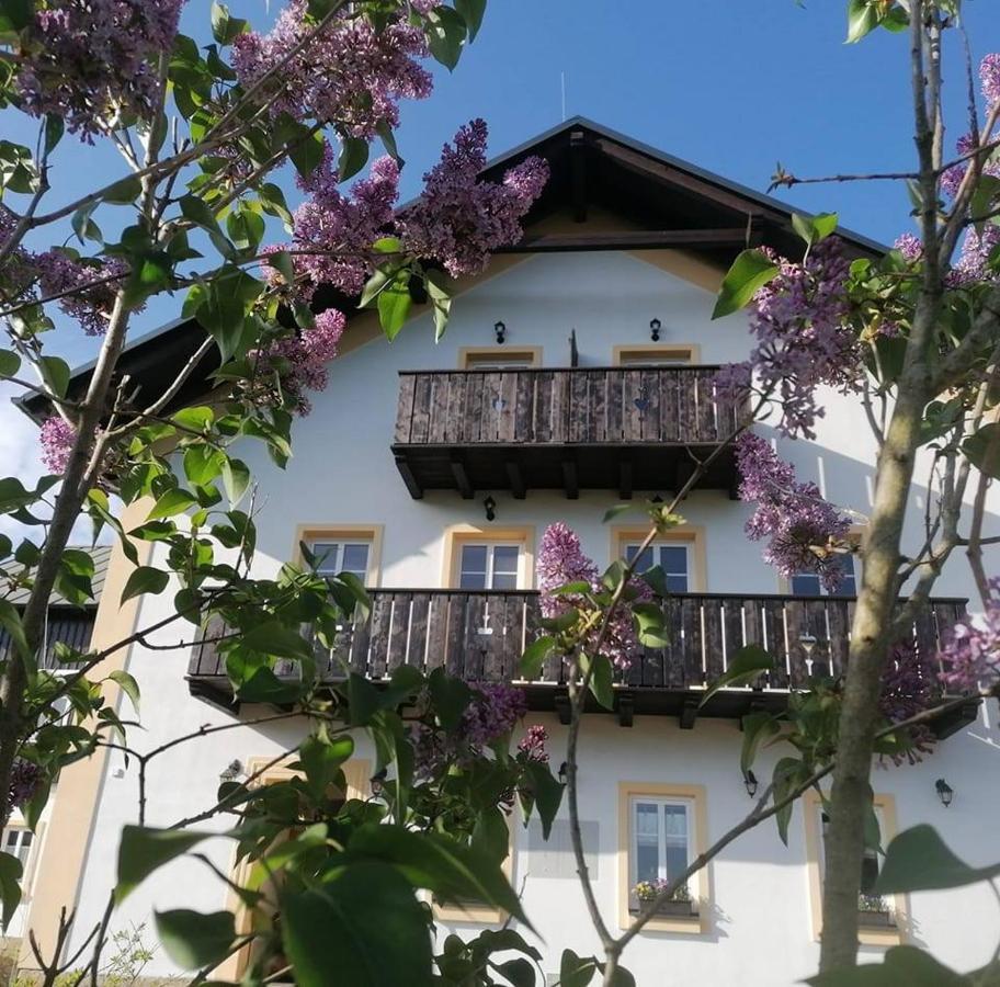 Penzion Henke Srbska Kamenice Exterior photo